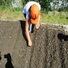 images/aktuell/wasserspiele/IMG_0605.jpg