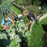 images/aktuell/wasserspiele/IMG_4851.jpg